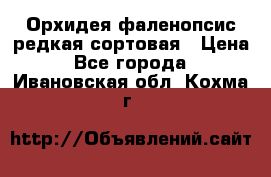 Орхидея фаленопсис редкая сортовая › Цена ­ 800 - Все города  »    . Ивановская обл.,Кохма г.
